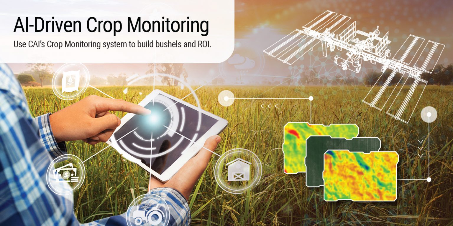 AI-Driven Crop Monitoring - CustomAgIntel